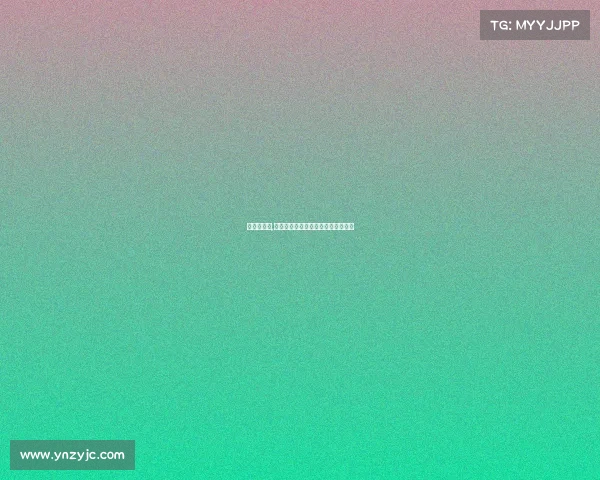 紧凑的赛事,紧凑赛事高效竞技全球焦点对决盛会