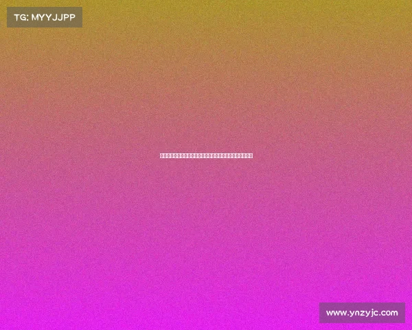 闪耀星光的红人赛事盛典：汇聚天下红人，共同创造辉煌未来