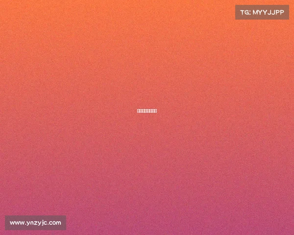 篮球比赛照片名称