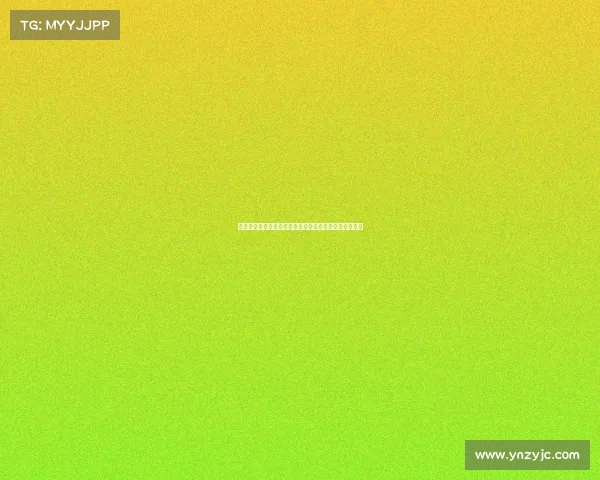 多特蒙德近期赛事全面回顾德甲欧冠比赛亮点与挑战分析