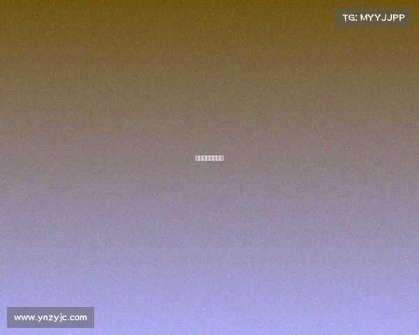 平野美宇比赛图片